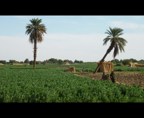 Sudan Dongola 16