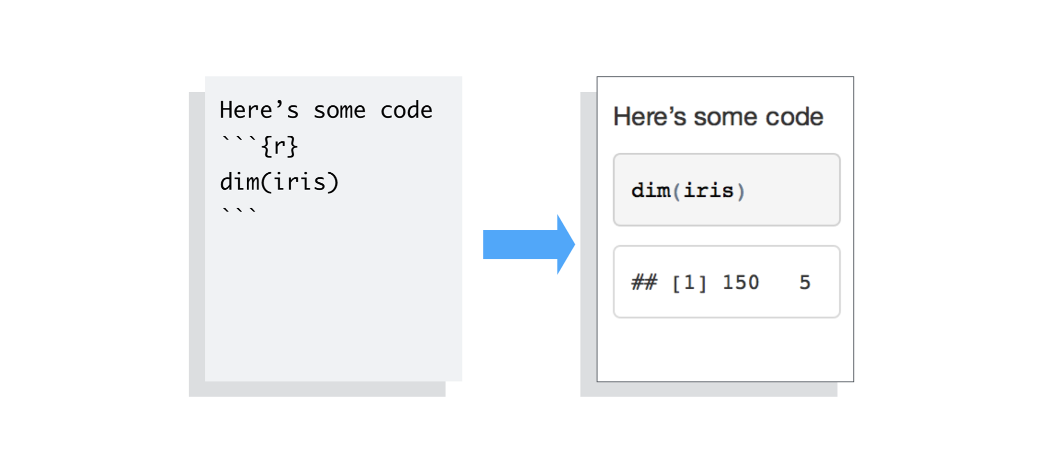 r report interactive