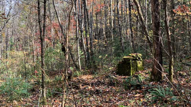 An old stone foundation in the woods