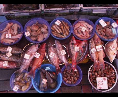 Hongkong Fish 4