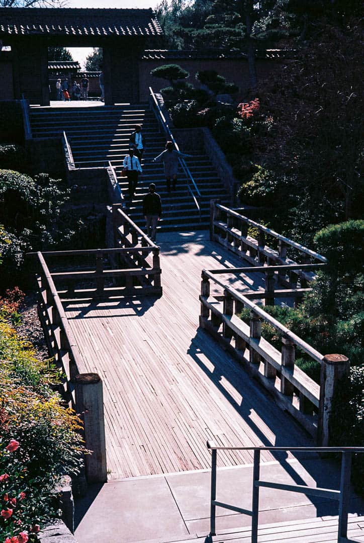 A wooden walkway in Huntington Gardens