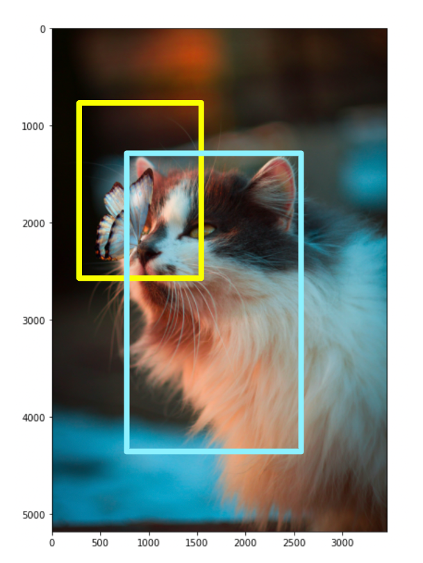 object detection with multiple classes