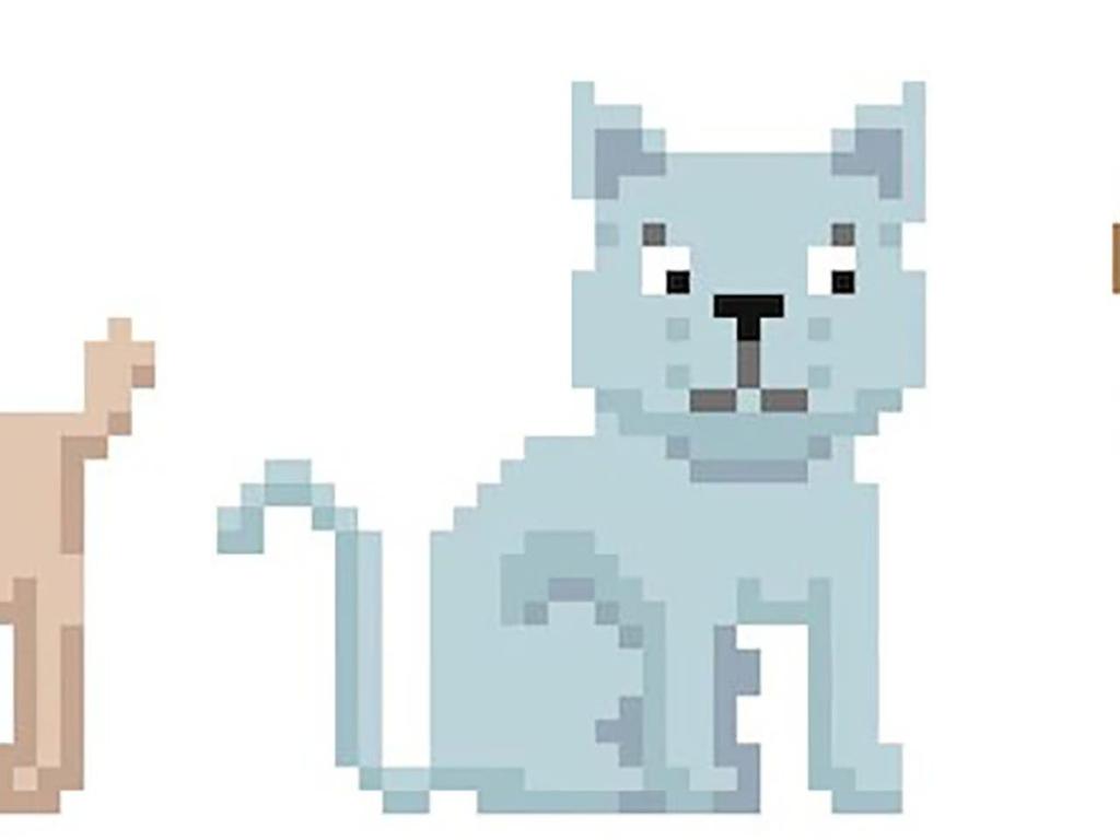 Unity Coding Virtual Pet (Ages 12 15) 2023 UpNext