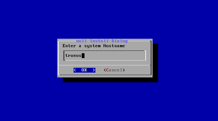 安裝 TrueOS 的流程:輸入 hostname