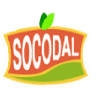 logo société Socodal