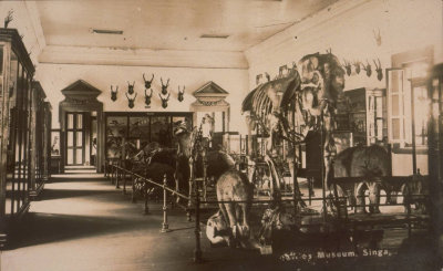Interior of Raffles Library and Museum, 1900s