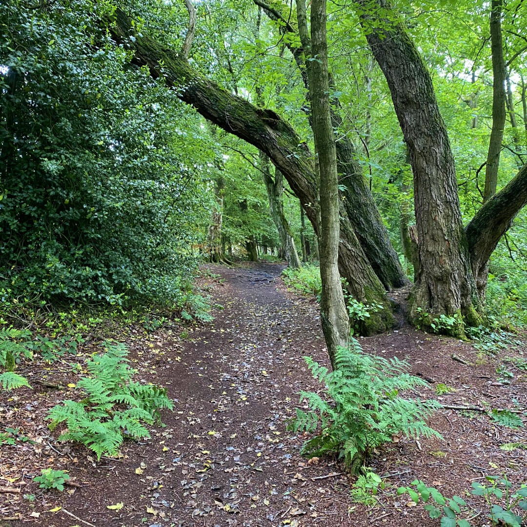 Adel Nature Reserve Footpath
