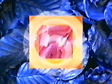 Channel 5 launch ident, 1997
