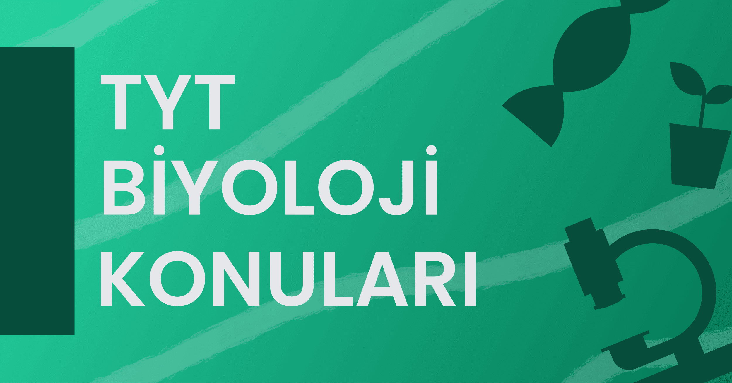 2021 TYT Biyoloji Konuları ve Soru Dağılımı
