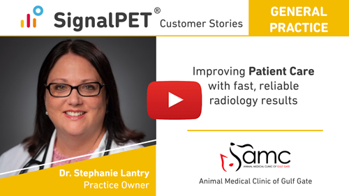 Improving veterinary patient care case study