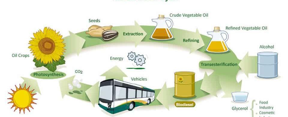 Biodiesel - A Viable Renewable Energy Resource