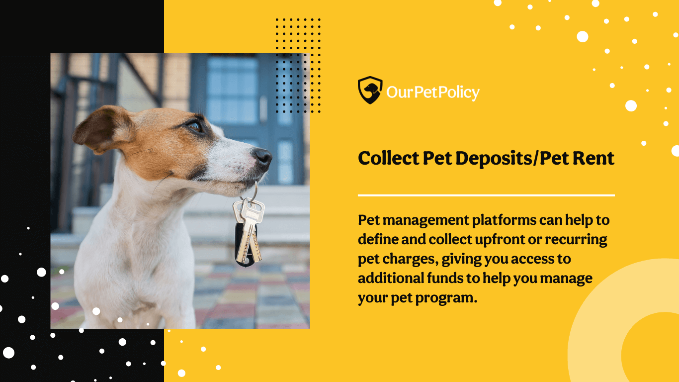 collect pet deposits or pet rent