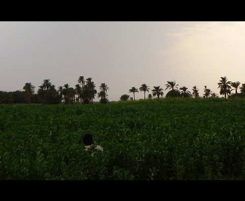 Sudan Nile Walk 22