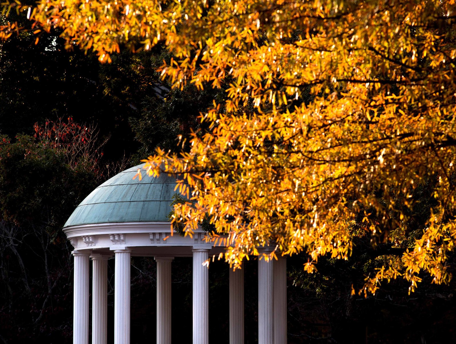 UNC Chapel Hill Online Degree Program Partnership | 2U