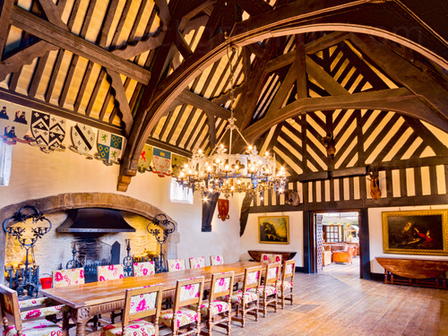 Historic style meeting room with chandelier lighting containing large wooden table and medieval decoration  Zoom background