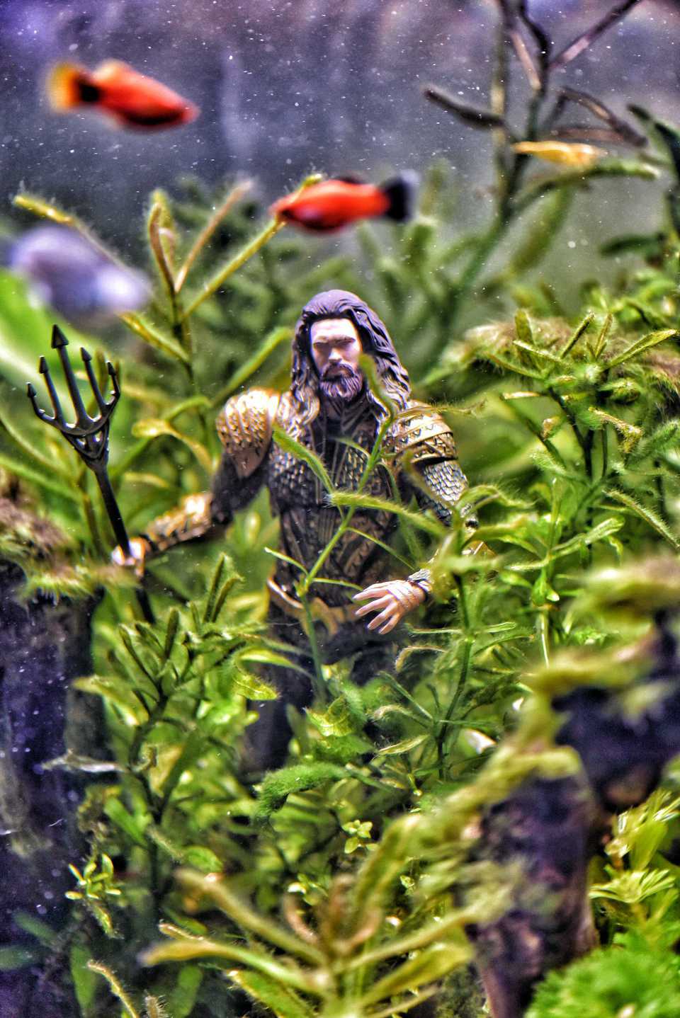 Aquaman In Fish Tank