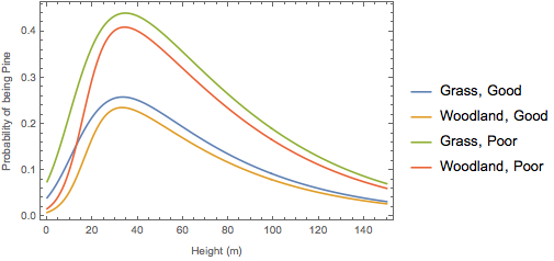 NN plot2