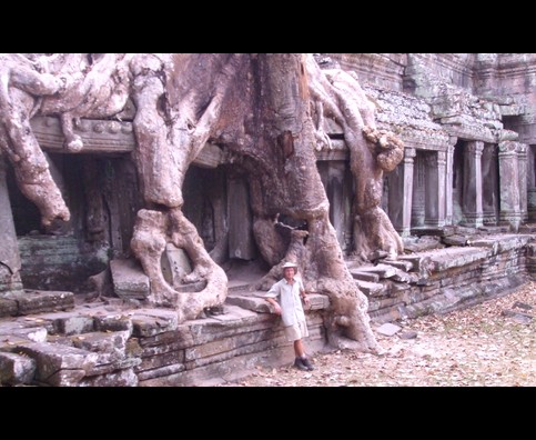 Cambodia Jungle Ruins 13