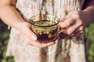 Closeup view of woman hands holding tea cup with common lady's mantle leaf ground infusion tea in it wearing floral summer dress. Relaxing herbal tea concept contraceptive safe sex