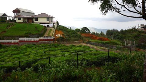 Plot 56 at Serenitea for sale