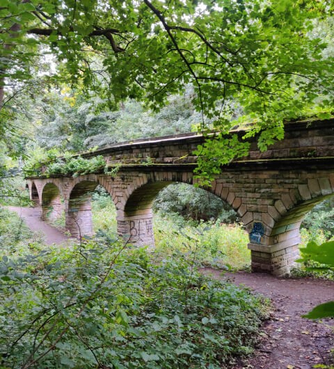 Seven Arches in Scotland Wood