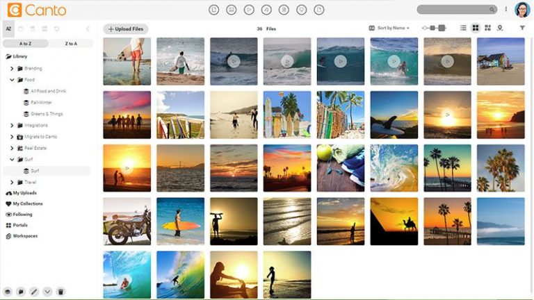 Screenshot of the main media library of the Canto DAM and the folder and album tree structure to the left side; it shows previews of images and videos concerning leisure and surfing.