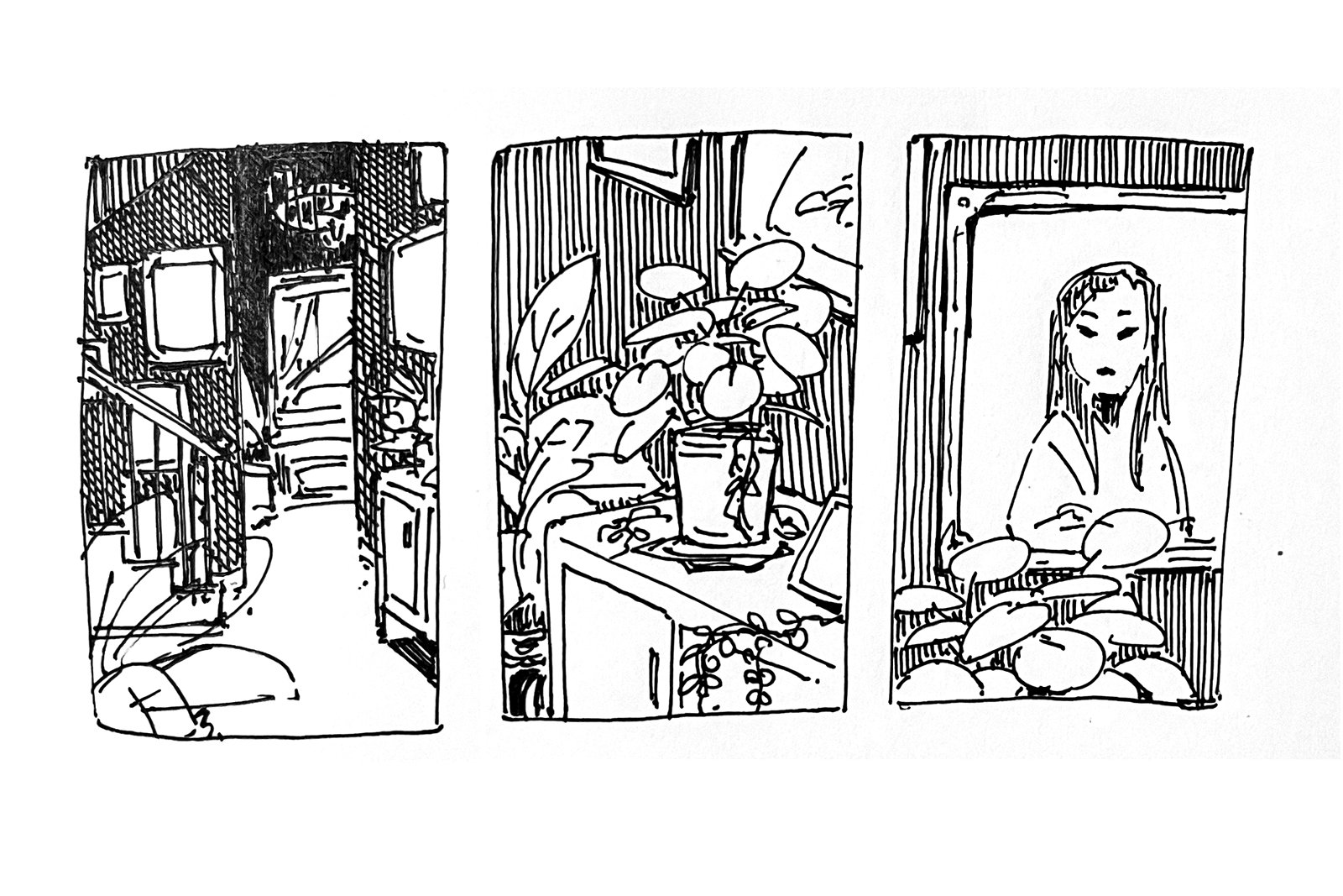 Three panels of ink sketches: first is a foyer, full of picture frames; then a close up of plants on and around a side table; then a close up of a framed picture, behind the plant, of a female figure.