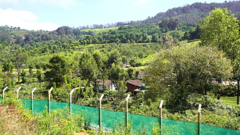 View from the plot