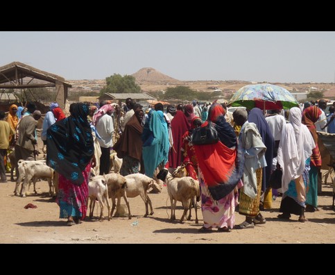 Somalia Animal Market 12