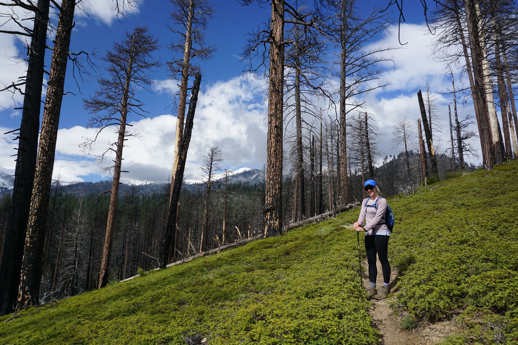 At the top of the ridge overlooking Cedar Grove