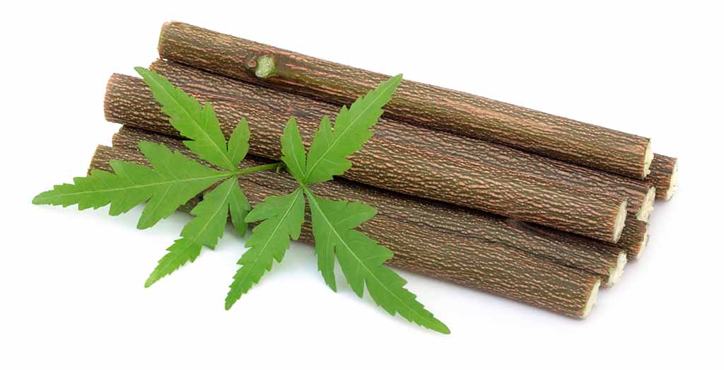 Neem twig as toothbrush