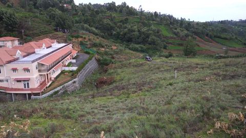 View of the Stream