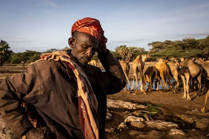A Kenyan pastoralist with his camels near North Horr in the Marsabit district. The area has been affected by the Horn of Africa drought.