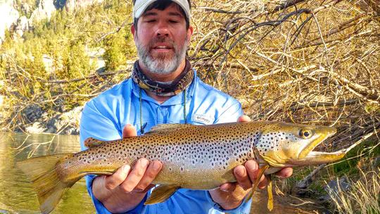 Spring Fly-Fishing In Montana
