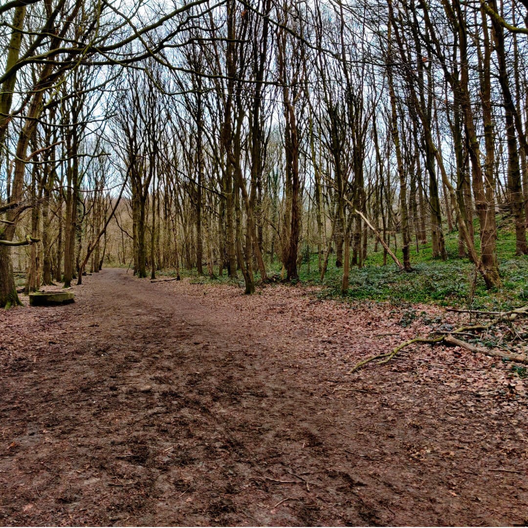 Bramley Fall Park & Woods Discover Leeds