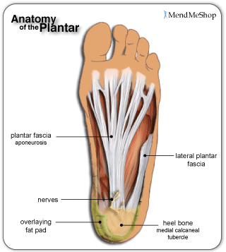 "Plantar