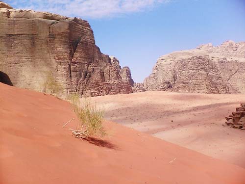 Wadi Rum 37