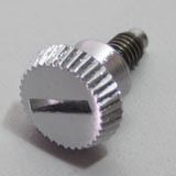 Screw Screw
