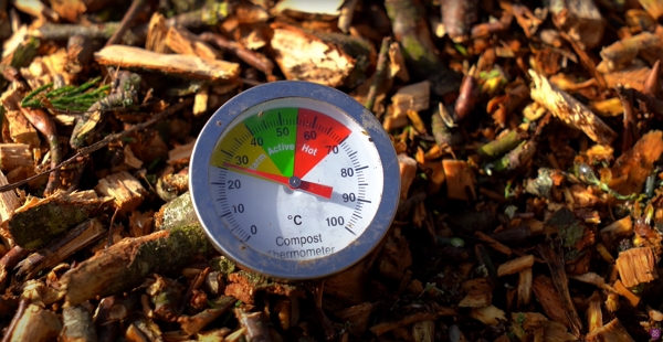 A thermometer in woodchip pile