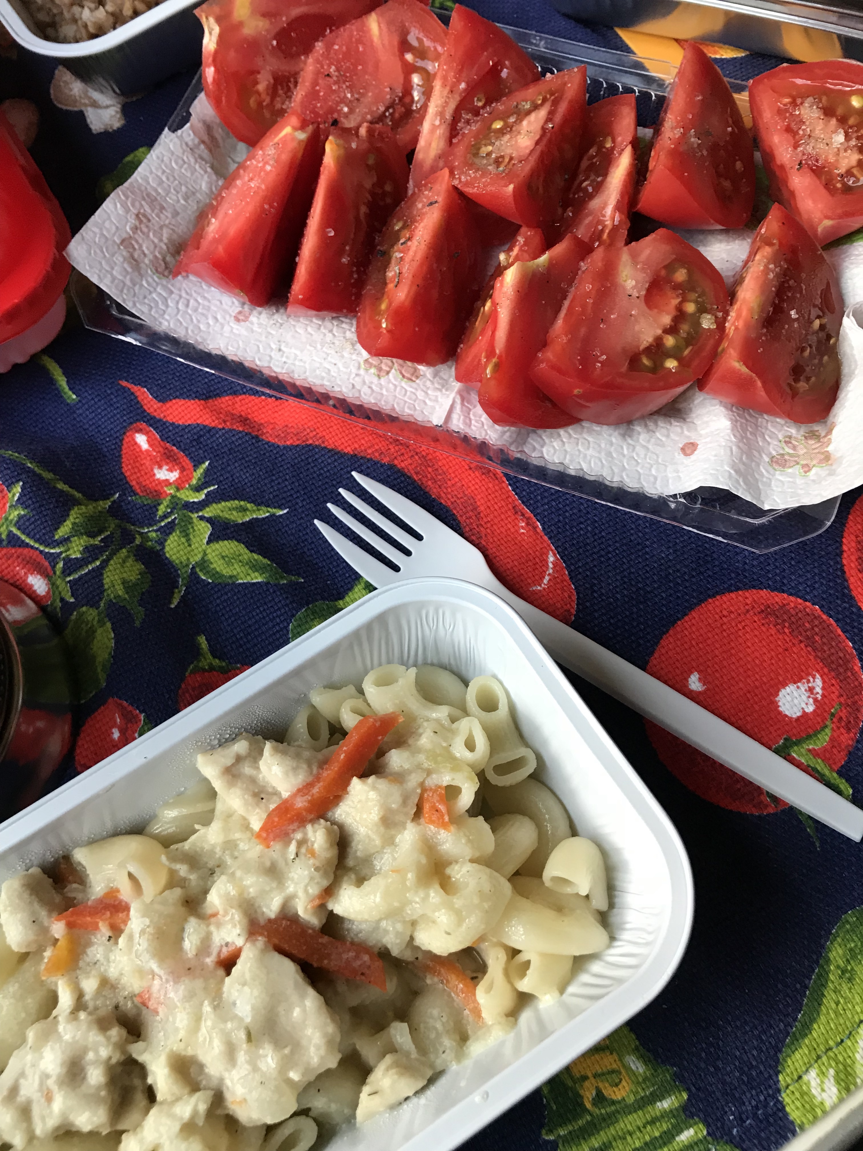 Train-provided meal supplemented by fresh tomatoes brought from home and shared with others.