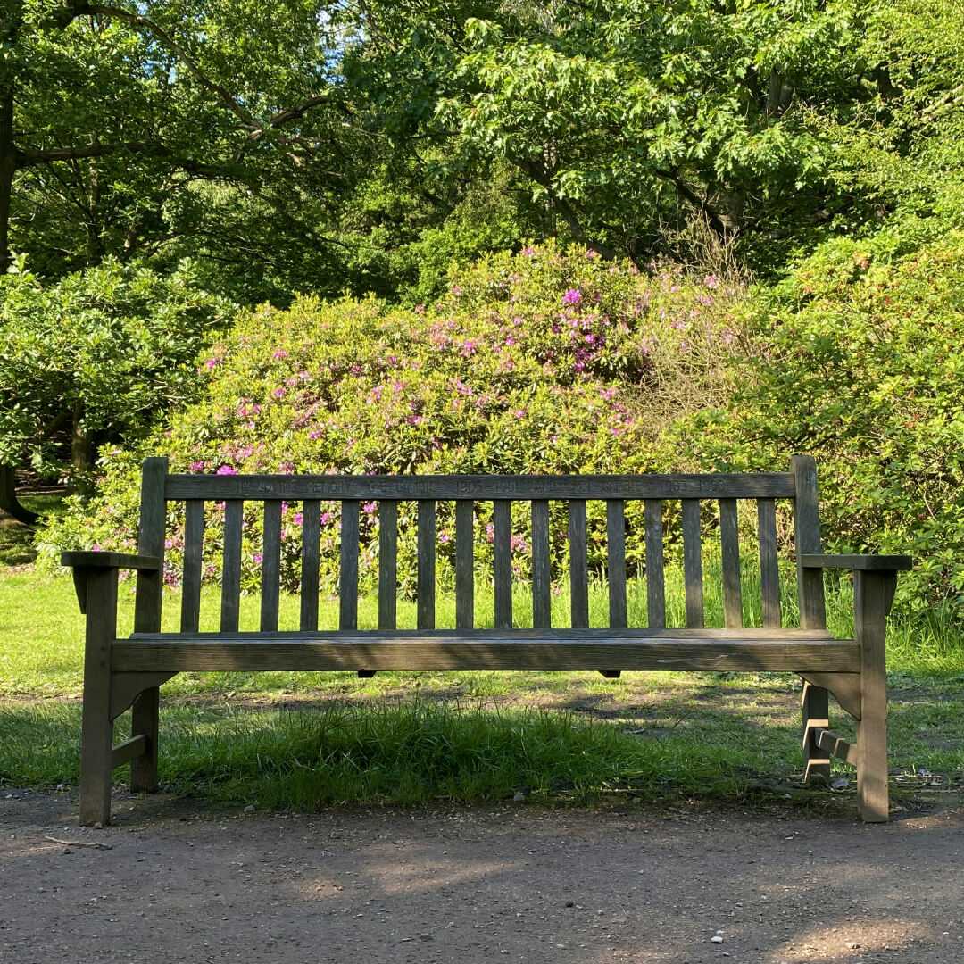 One of the many wooden benches that line the path through Golden Acre Park