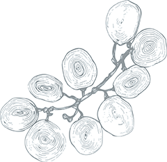 Caudalie grappe grape hd