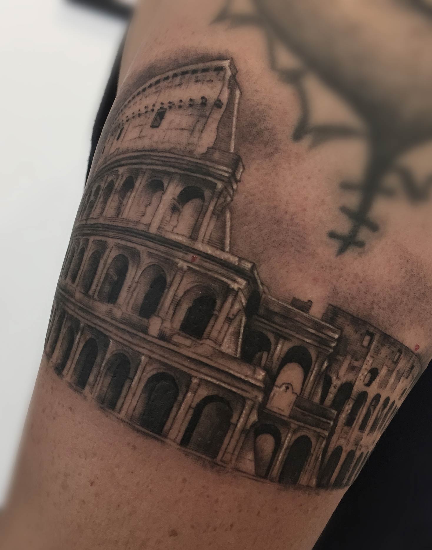 tatuaje coliseum roma