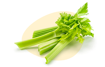 Celery is one of the EU 14 Major Food Allergens, Erudus lets you easily see if a product contains this or any of the allergen ingredients