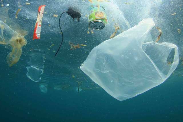 Plastic Bags