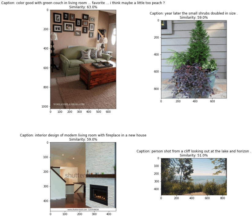 Images corresponding to the image-to-image search