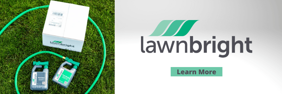 Lawnbright Review - Try Now