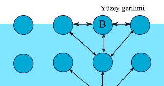 Sıvılar (Buhar Basıncı – Viskozite – Yüzey Gerilimi)