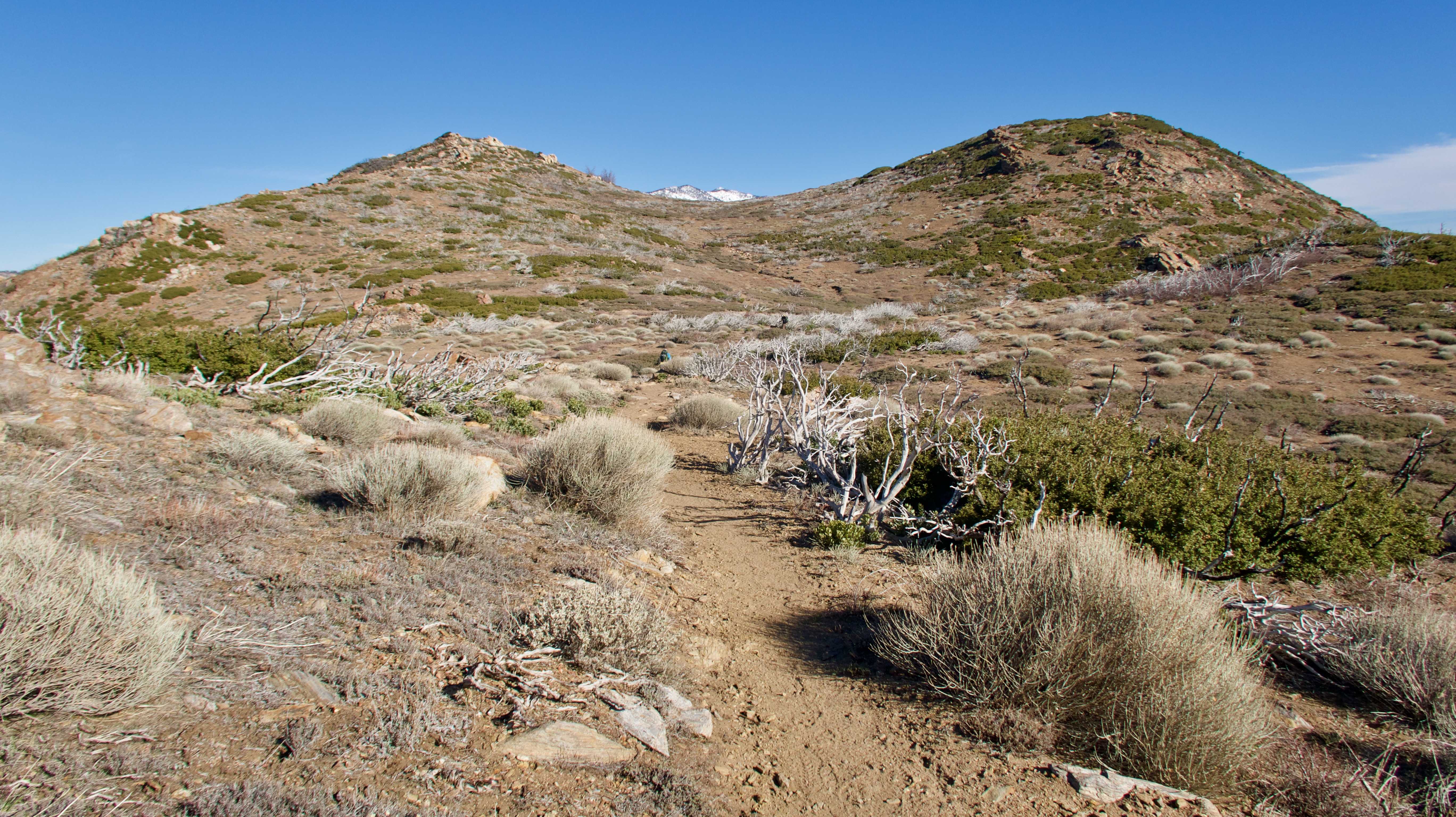 PCT 2019: Day 15, Fobes Ranch Trail Jct. to Tentsite at Mile 176.4 ...