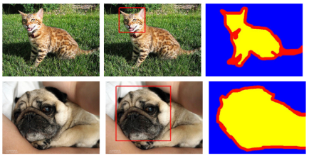 Examples from the Oxford-IIIT pet dataset